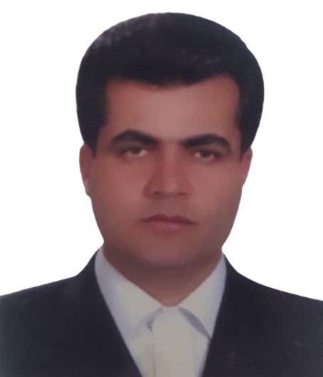 وکیل محمد حسنی